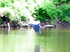 IMG 4751